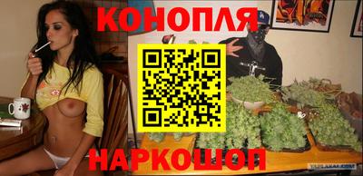 индика Будённовск