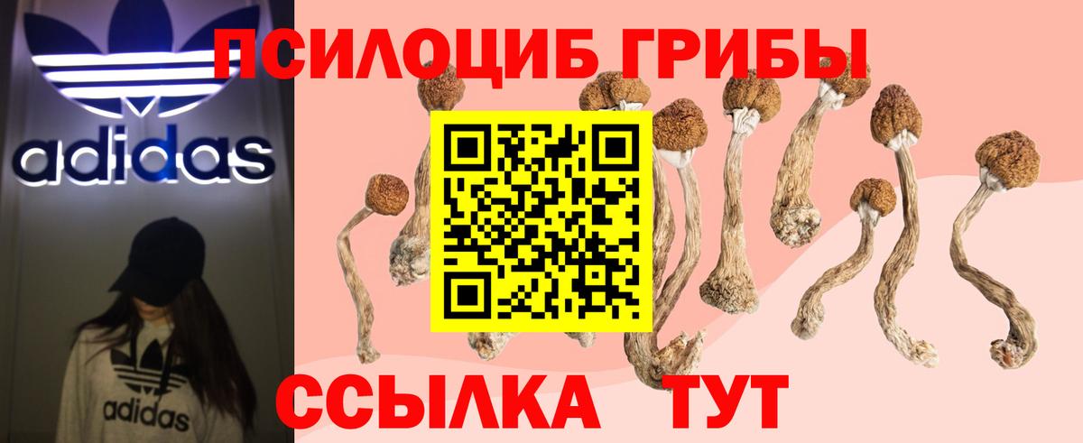 Галлюциногенные грибы MAGIC MUSHROOMS Пушкино